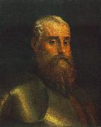 Portrait of Agostino Barbarigo wr VERONESE (Paolo Caliari)